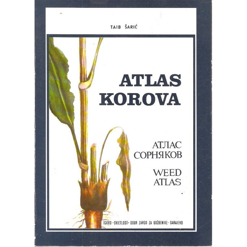 Atlas korova, Taib Šarić