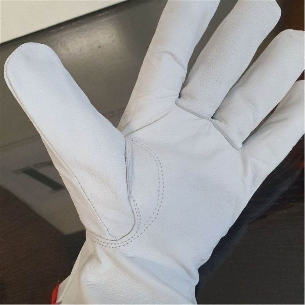 Kožne rukavice SEMIS ZB1-023