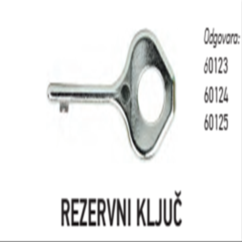 HUGO REZERVNI KLJUC H60181