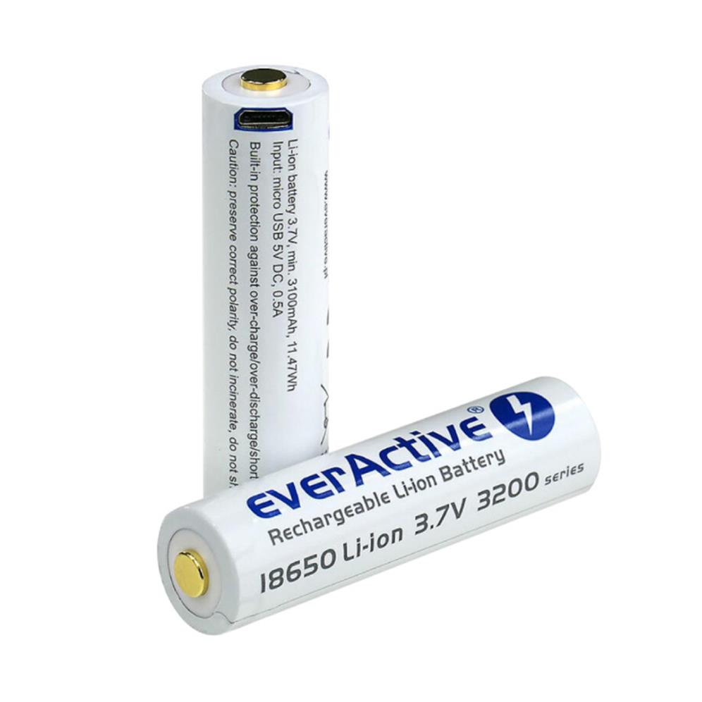 Industrijska punjiva baterija 3200 mAh EverActive