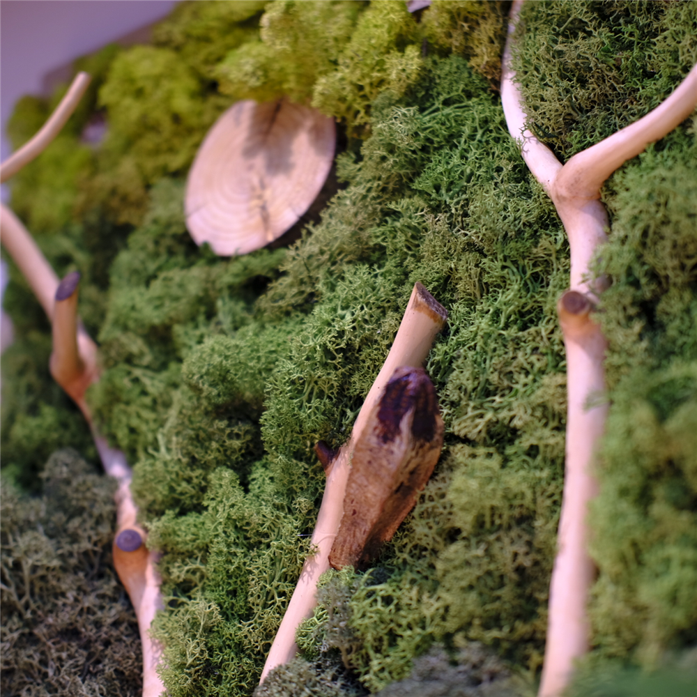Očaravajuća priroda u vašem dnevnom boravku: Unikatna slika od konzervirane mahovine