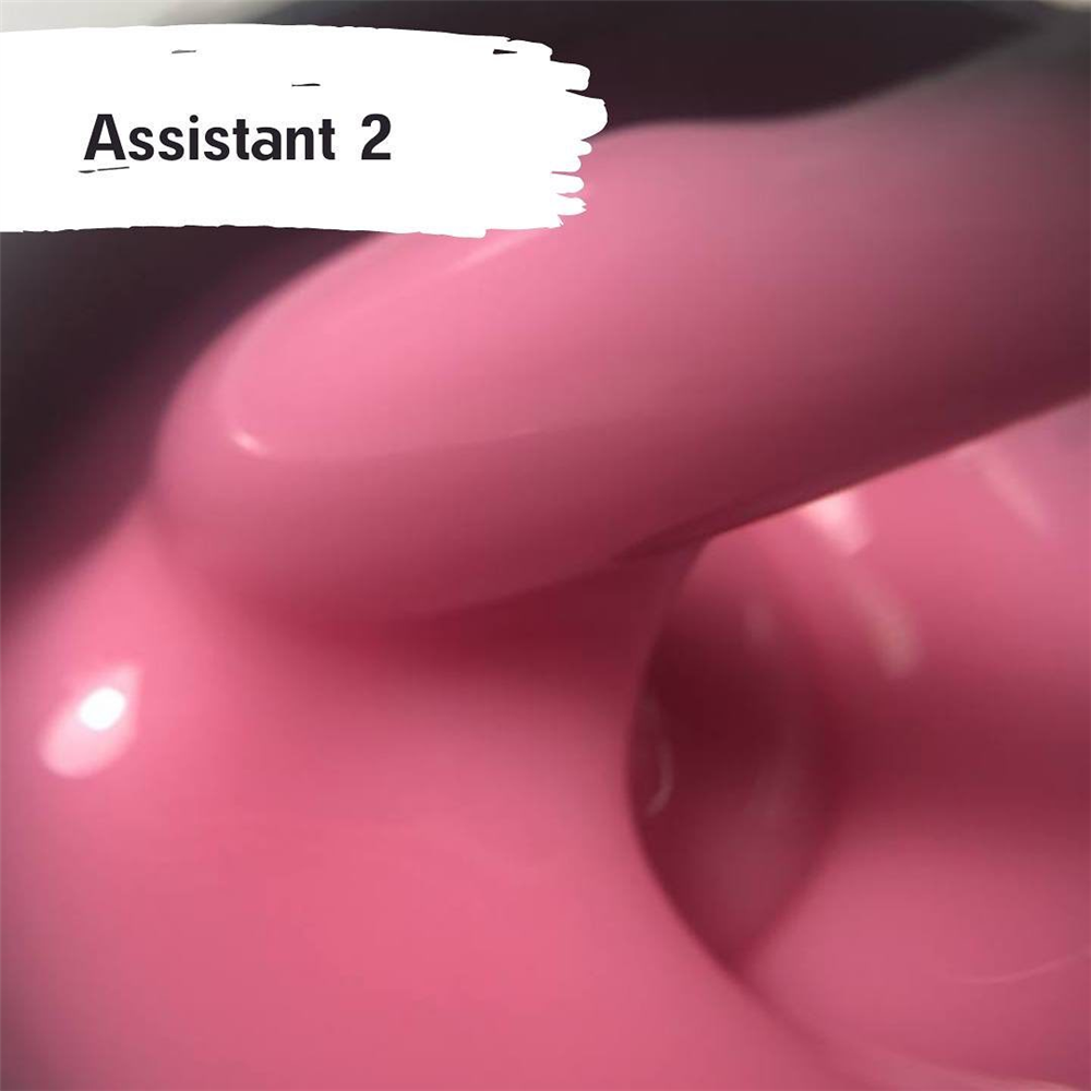 Assistant 2 (15gr)